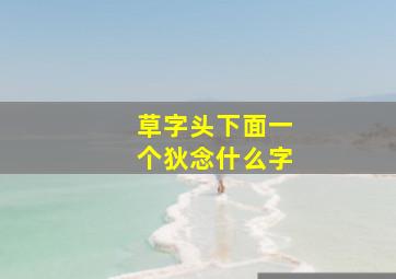 草字头下面一个狄念什么字