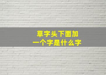 草字头下面加一个字是什么字