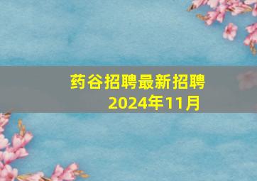 药谷招聘最新招聘2024年11月