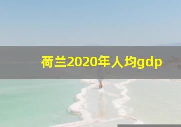 荷兰2020年人均gdp