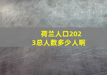 荷兰人口2023总人数多少人啊