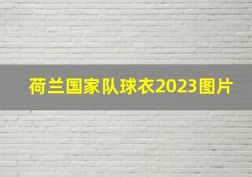 荷兰国家队球衣2023图片