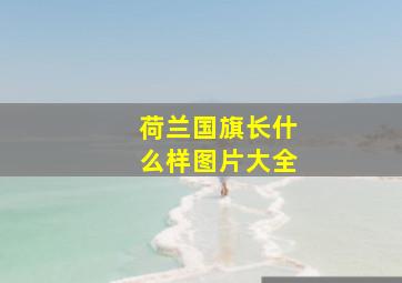 荷兰国旗长什么样图片大全