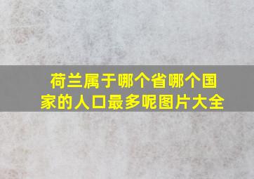 荷兰属于哪个省哪个国家的人口最多呢图片大全