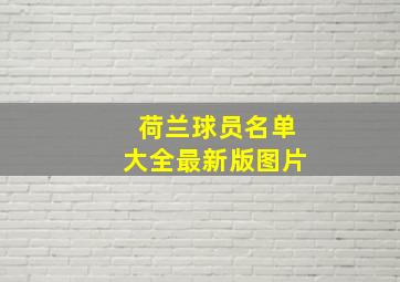 荷兰球员名单大全最新版图片