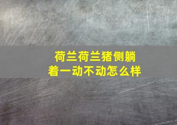 荷兰荷兰猪侧躺着一动不动怎么样