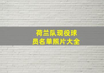 荷兰队现役球员名单照片大全