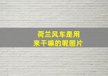 荷兰风车是用来干嘛的呢图片