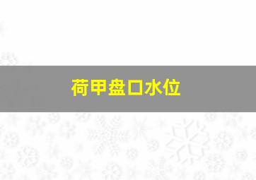 荷甲盘口水位