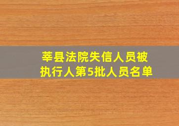 莘县法院失信人员被执行人第5批人员名单