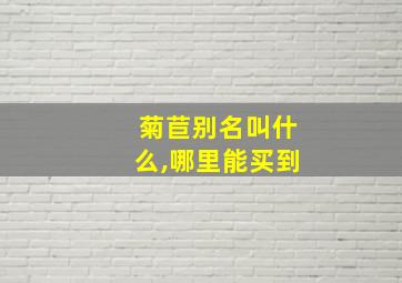 菊苣别名叫什么,哪里能买到