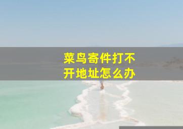 菜鸟寄件打不开地址怎么办