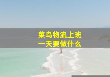 菜鸟物流上班一天要做什么