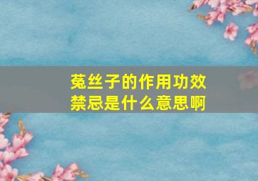 菟丝子的作用功效禁忌是什么意思啊