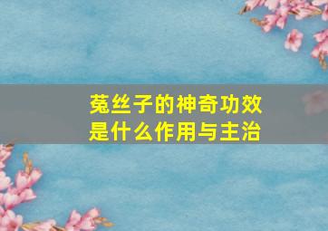 菟丝子的神奇功效是什么作用与主治