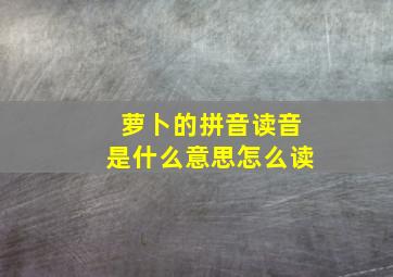 萝卜的拼音读音是什么意思怎么读