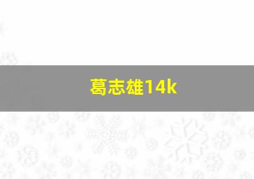 葛志雄14k