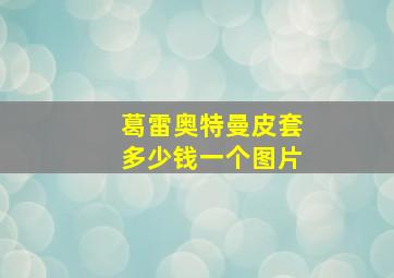 葛雷奥特曼皮套多少钱一个图片