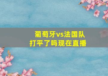 葡萄牙vs法国队打平了吗现在直播