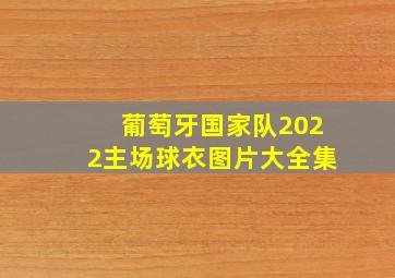 葡萄牙国家队2022主场球衣图片大全集