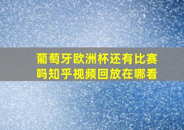 葡萄牙欧洲杯还有比赛吗知乎视频回放在哪看