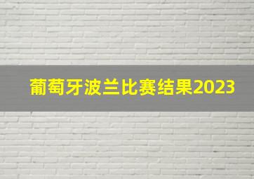 葡萄牙波兰比赛结果2023