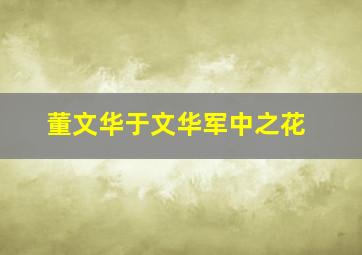 董文华于文华军中之花