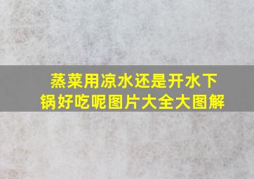 蒸菜用凉水还是开水下锅好吃呢图片大全大图解