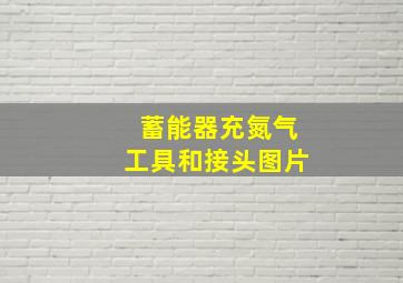 蓄能器充氮气工具和接头图片