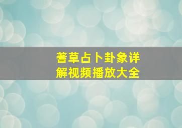 蓍草占卜卦象详解视频播放大全