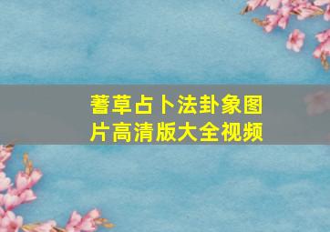 蓍草占卜法卦象图片高清版大全视频