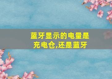 蓝牙显示的电量是充电仓,还是蓝牙