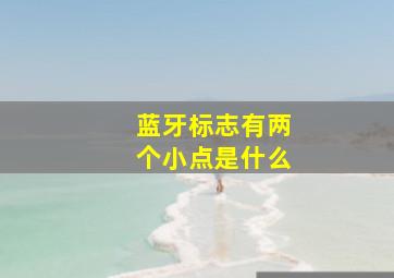 蓝牙标志有两个小点是什么