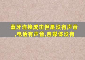 蓝牙连接成功但是没有声音,电话有声音,自媒体没有