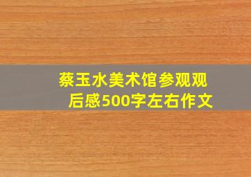 蔡玉水美术馆参观观后感500字左右作文