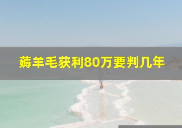 薅羊毛获利80万要判几年