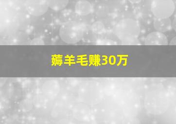 薅羊毛赚30万