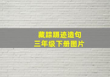 藏踪蹑迹造句三年级下册图片