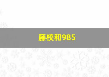 藤校和985