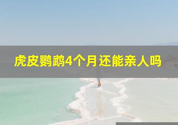 虎皮鹦鹉4个月还能亲人吗