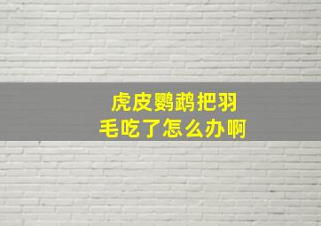 虎皮鹦鹉把羽毛吃了怎么办啊