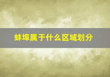 蚌埠属于什么区域划分