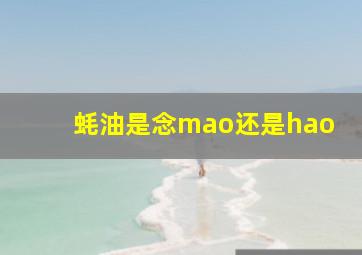 蚝油是念mao还是hao