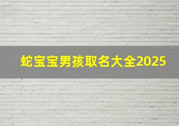 蛇宝宝男孩取名大全2025