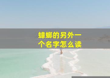 蟑螂的另外一个名字怎么读