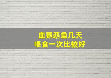 血鹦鹉鱼几天喂食一次比较好