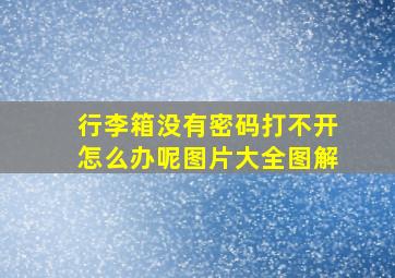 行李箱没有密码打不开怎么办呢图片大全图解