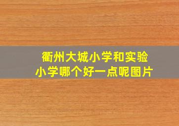 衢州大城小学和实验小学哪个好一点呢图片