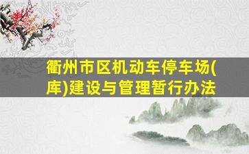 衢州市区机动车停车场(库)建设与管理暂行办法