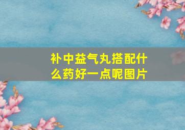 补中益气丸搭配什么药好一点呢图片